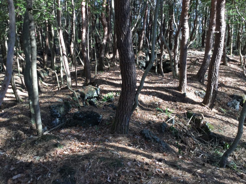 富士山の貞観大噴火の痕跡 訪問記 弁護士永野海〈防災いろとりどり〉
