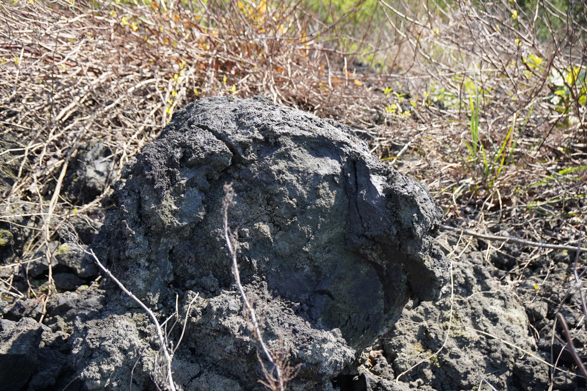 伊豆大島の割れ目噴火（大島町） 弁護士永野海〈防災いろとりどり〉
