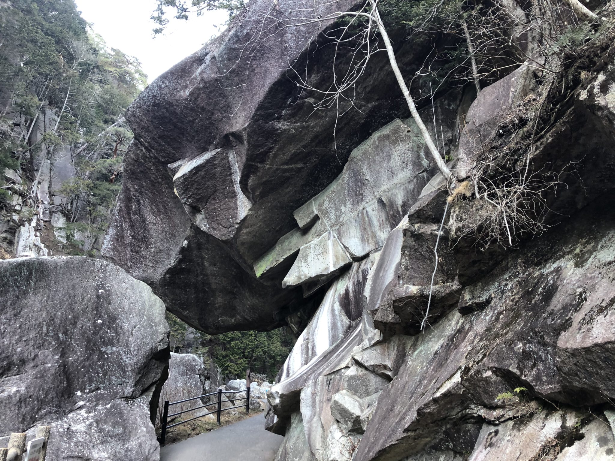 甲府花崗岩体産 紫水晶 セプター - 置物