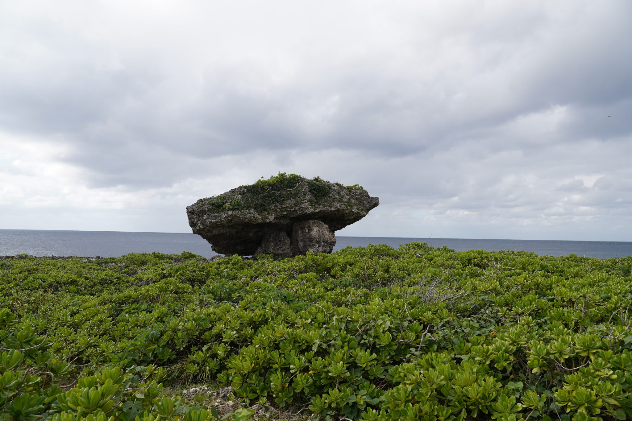 沖縄本島の津波石？カサカンジャー（糸満市） 弁護士永野海〈防災いろとりどり〉